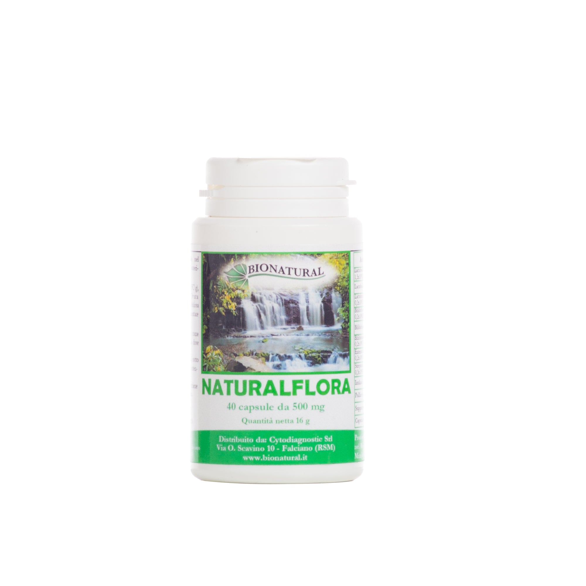NATURALFLORA