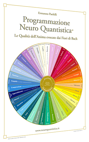 POSTER PROGRAMMAZIONE NEURO QUANTISTICA DOTT. ERMANNO PAOLELLI - ED. MARTINA