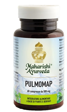 PULMOMAP