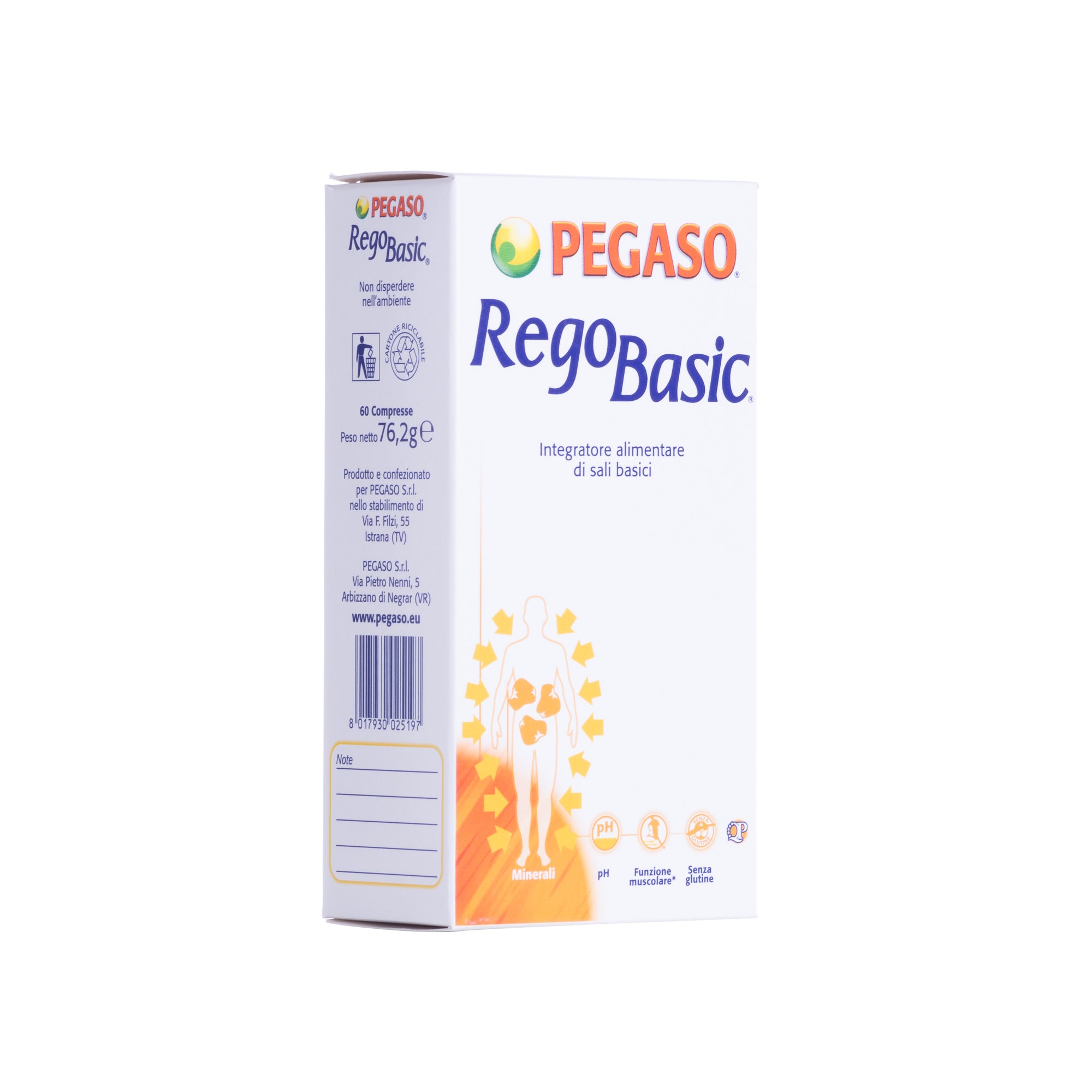 REGOBASIC