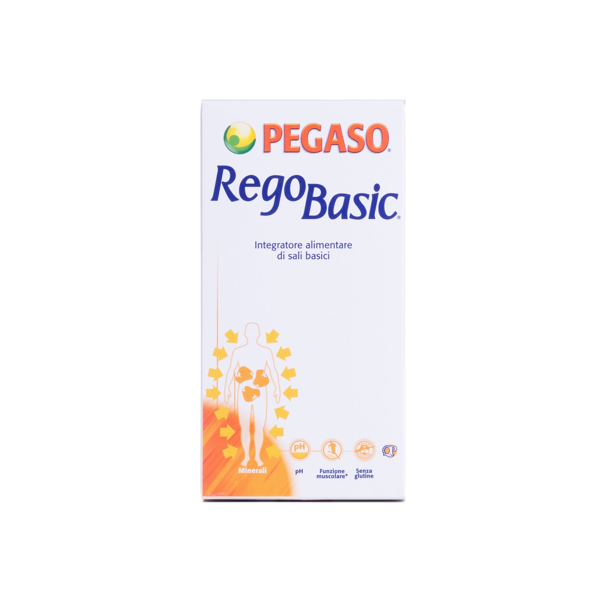 REGOBASIC