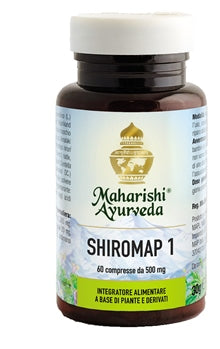 SHIROMAP 1
