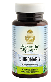 SHIROMAP 2