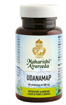UDANAMAP