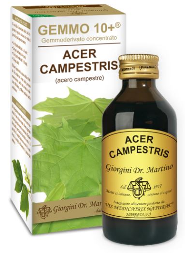 ACERO CAMPESTRE ANALCOLICO GEMMODERIVATO 10+ 500ML