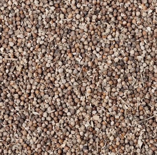 AGNOCASTO FRUTTI INTERI 100G