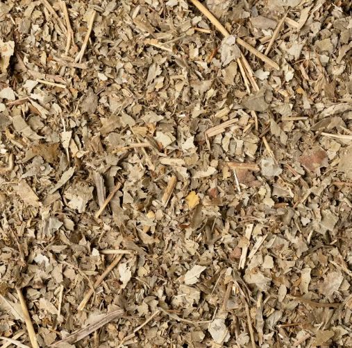 ALCHEMILLA VOLGARE SOMMITA' TT 100G