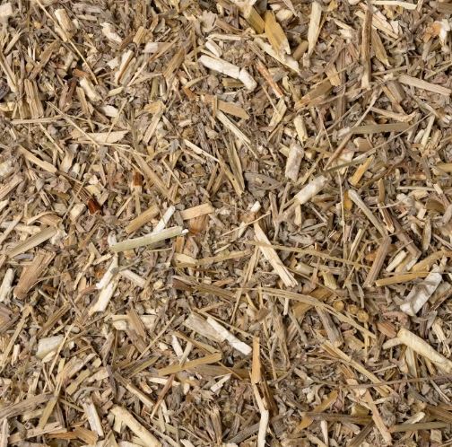 ASSENZIO ROMANO SOMMITA TT 100G