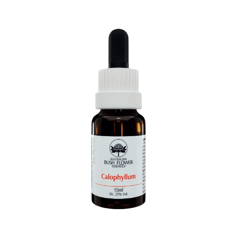 AUSTRALIAN BUSH FLOWER - CALOPHYLLUM GTT 15ML