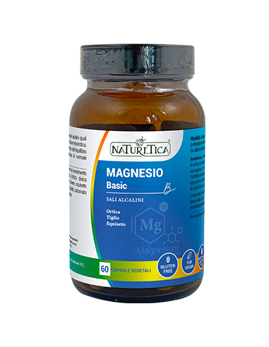 MAGNESIO BASIC 60 CAPSULE