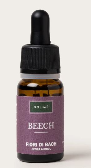 BEECH 10ML