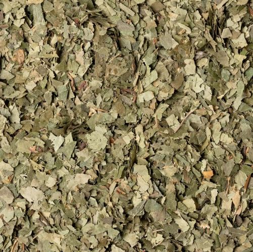 BETULLA FOGLIE TT 100G