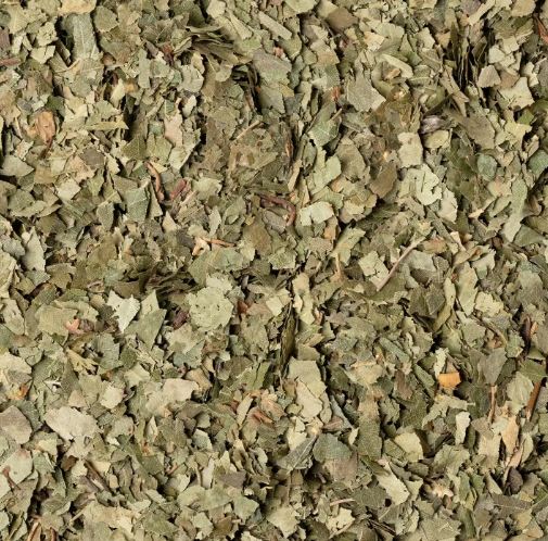 BETULLA FOGLIE TT 1KG