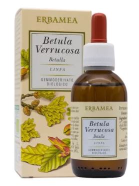 BETULA VERRUCOSA GEMME MG 50ML