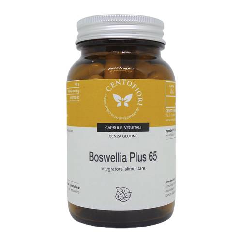 BOSWELLIA PLUS 65 100 CAPSULE