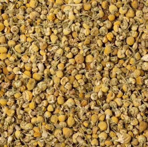 CAMOMILLA VOLGARE 1KG