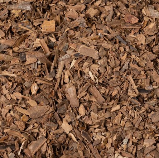 CANNELLA CORTECCIA TT 100G