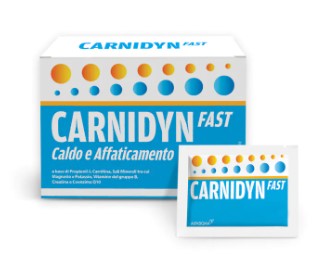 CARNIDYN FAST MAGNESIO E POTASSIO 20 BUSTE