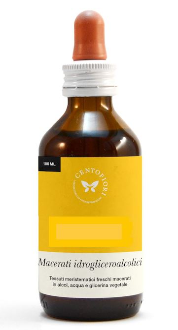 CARPINO BETULUS GEMME MG 100ML