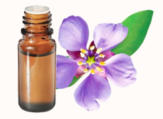 GUAIACO OLIO ESSENZIALE 10ML