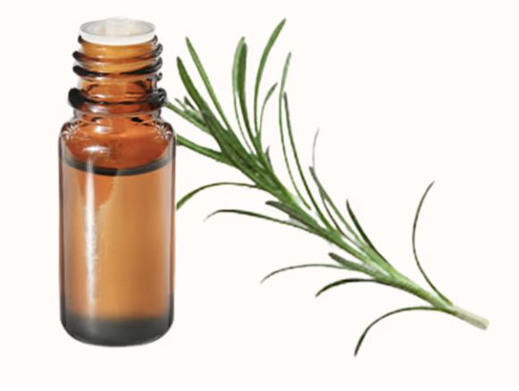 ROSMARINO CANFORA OLIO ESSENZIALE 10ML