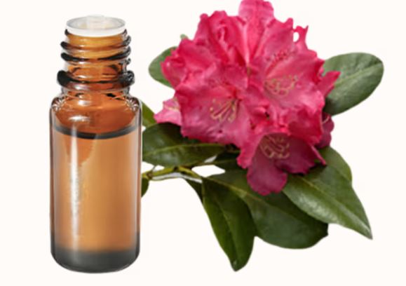 RODODENDRO OLIO ESSENZIALE 5ML