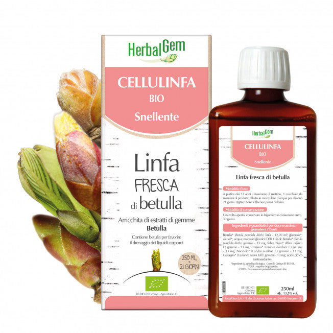 LINFA FRESCA DI BETULLA - 250 ML