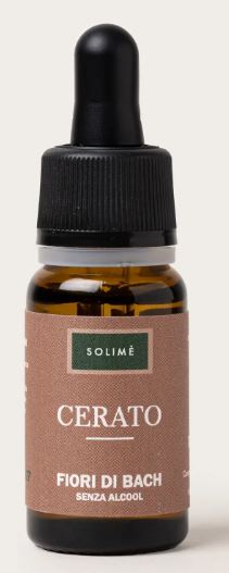 CERATO 10ML