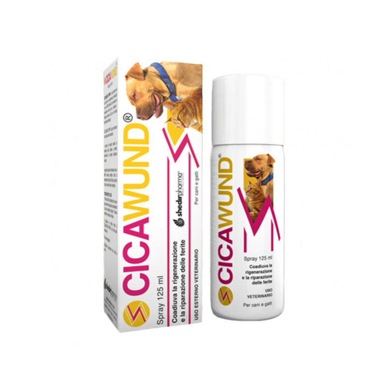 CICAWUND SPRAY 125 ML
