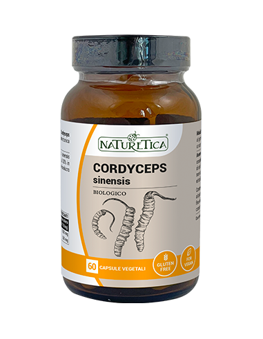 CORDYCEPS SINENSIS 60 CAPSULE