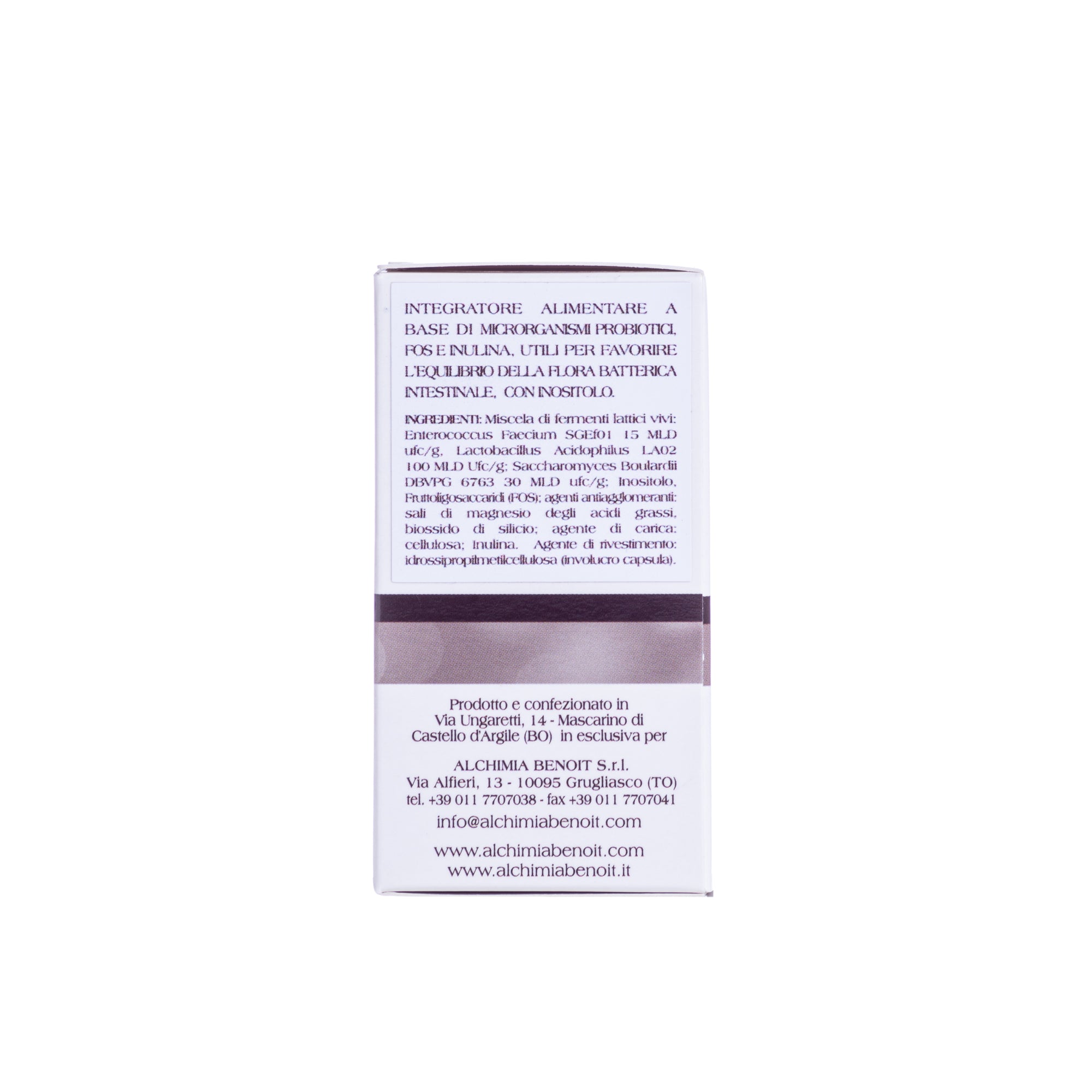 enterococcus