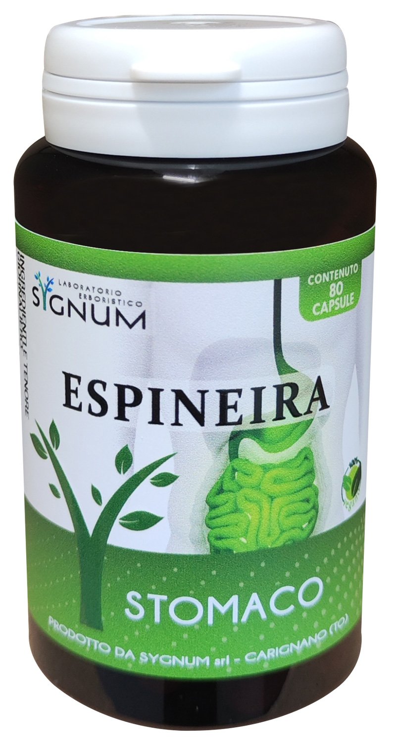 ESPINERIA 80CPS SYGNUM
