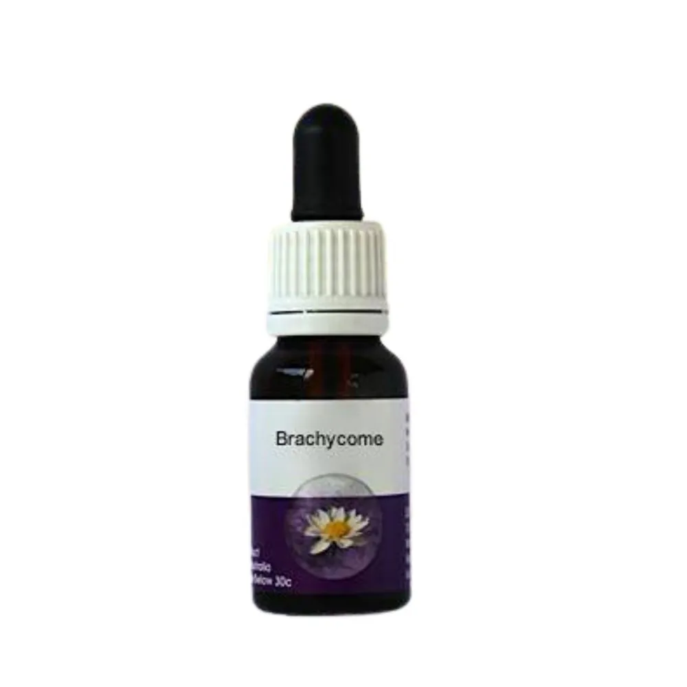 ESSENZA SINGOLA AUSTRALIAN LIVING BRACHYCOMBE 15 ML