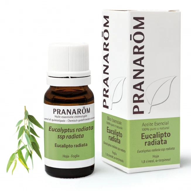 PRANAROM EUCALIPTO RADIATA OLIO ESSENZIALE