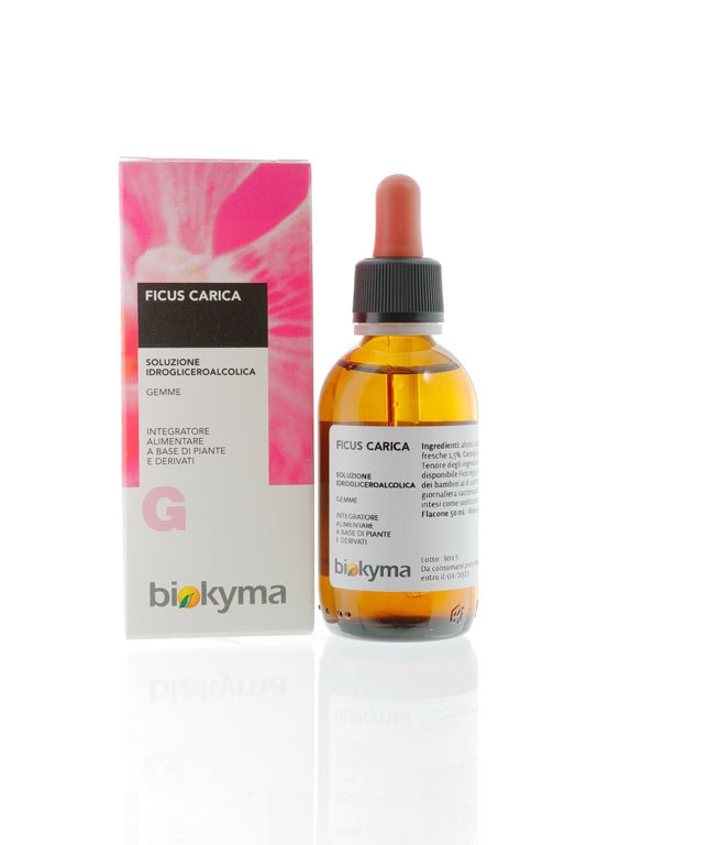 FICUS CARICA GEMME FICO 50ML