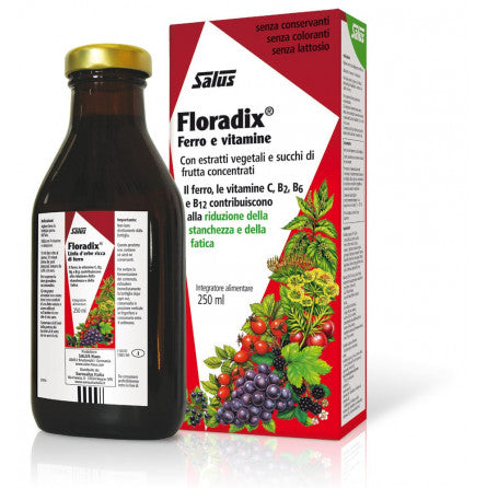 Floradix 250 ML