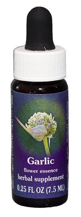 ESSENZA CALIFORNIANA GARLIC (ALLIUM SATIVUM) 30ML
