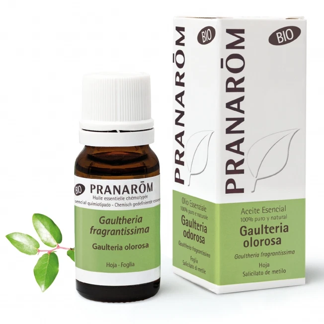 PRANAROM GAULTERIA OD OLIO ESSENZIALE