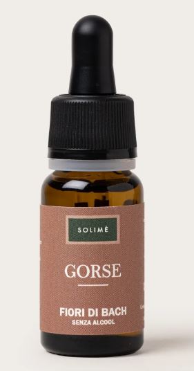 GORSE 10ML