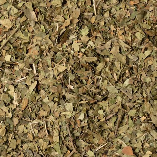 GYMNEMA SILVESTRE FOGLIE TT 100G