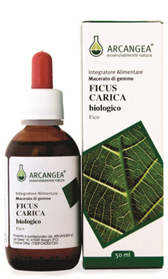 FICUS CARICA 50ML