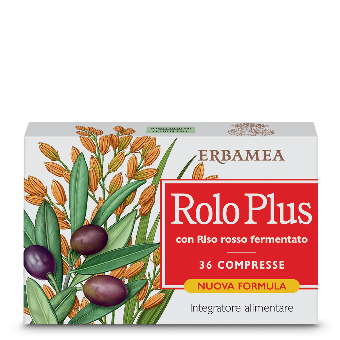 ROLO PLUS 36 COMPRESSE