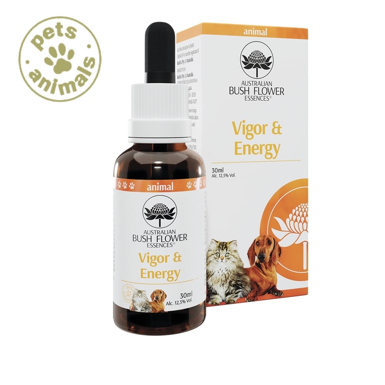 AUSTRALIAN BUSH FLOWER - VIGOR & ENERGY PETS GTT 30ML