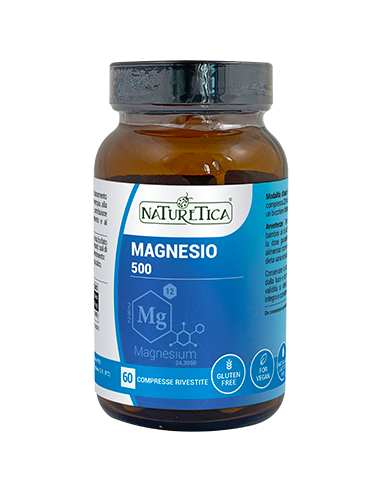 MAGNESIO 500 78G