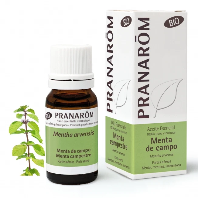 PRANAROM MENTA CAMPESTRE OLIO ESSENZIALE