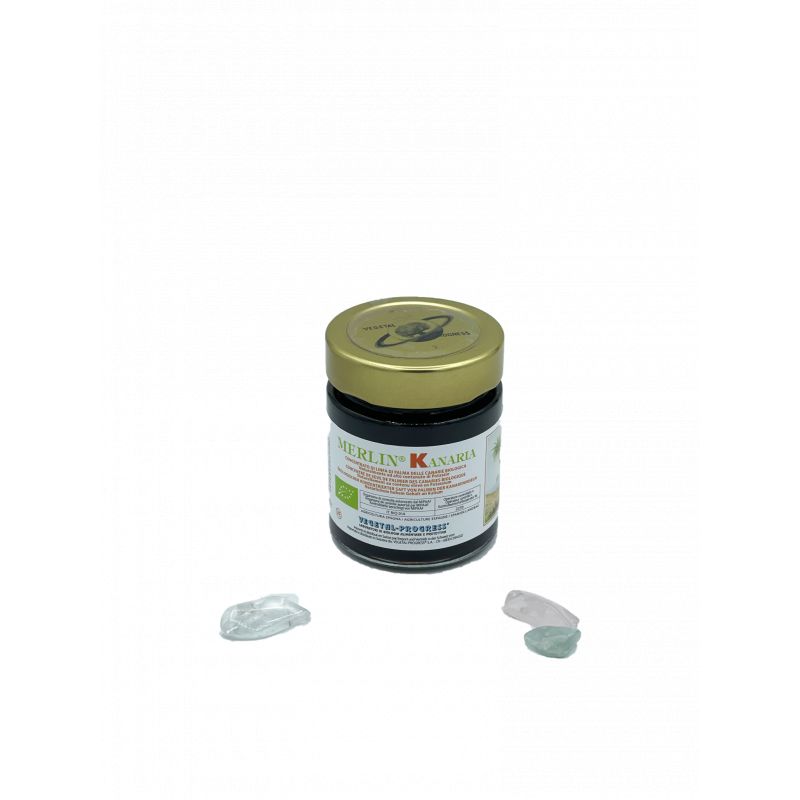 MERLIN KANARIA LINFA PALMA 170G