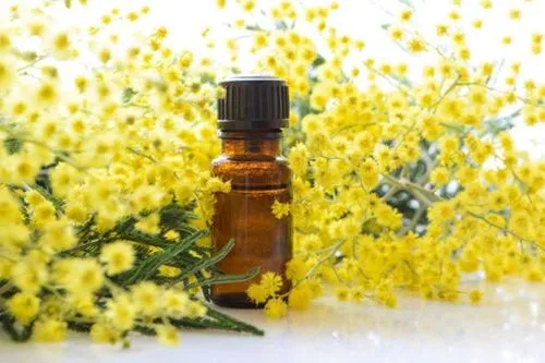 MIMOSAOLIO ESSENZIALE 2ML
