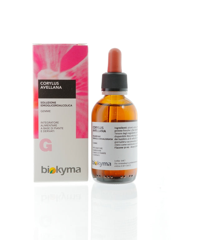 CORYLUS AVELLANA GEMME NOCCIOLO 50ML