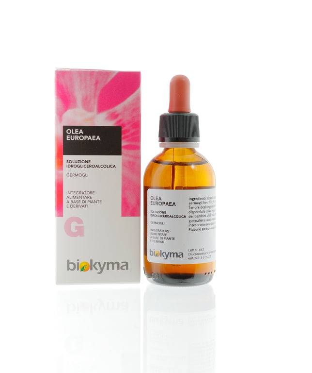 OLEA EUROPEA GERMOGLI OLIVO 50ML