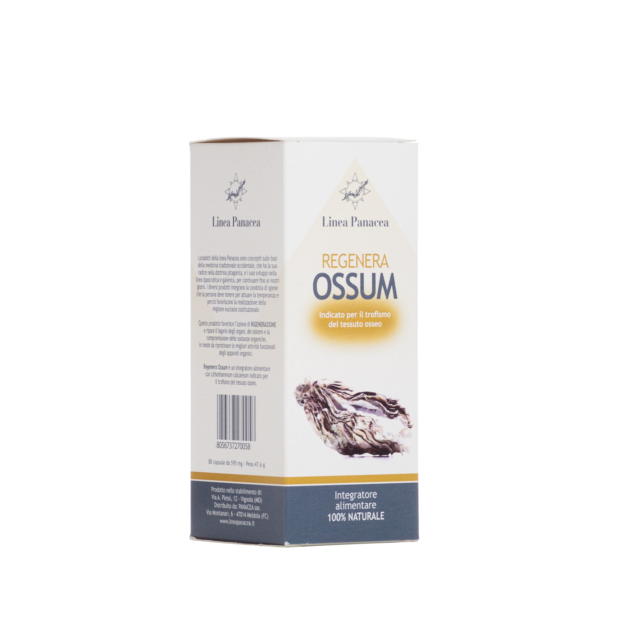regenera ossum